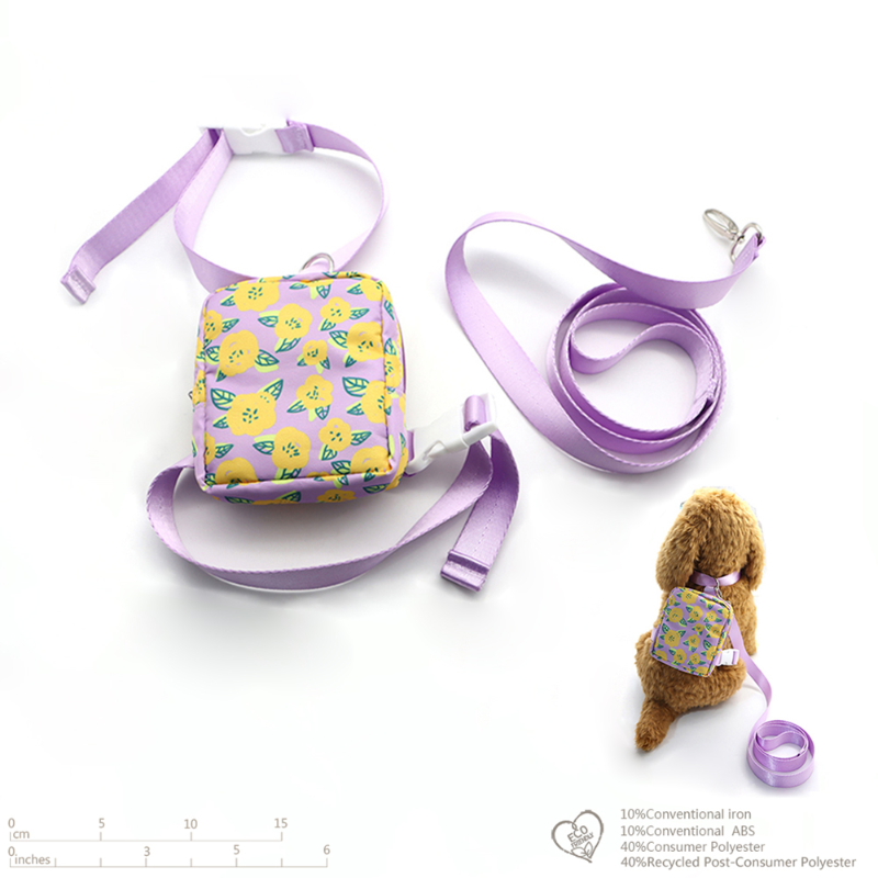 Pet Accessories